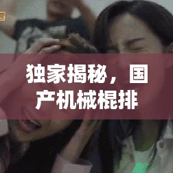 独家揭秘，国产机械棍排名前十，深度对比解析！