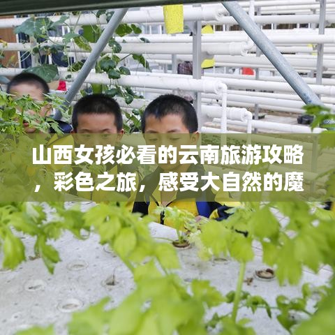 山西女孩必看的云南旅游攻略，彩色之旅，感受大自然的魔法魅力