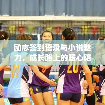 励志签到语录与小说魅力，成长路上的暖心陪伴