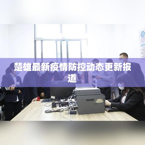 楚雄最新疫情防控动态更新报道