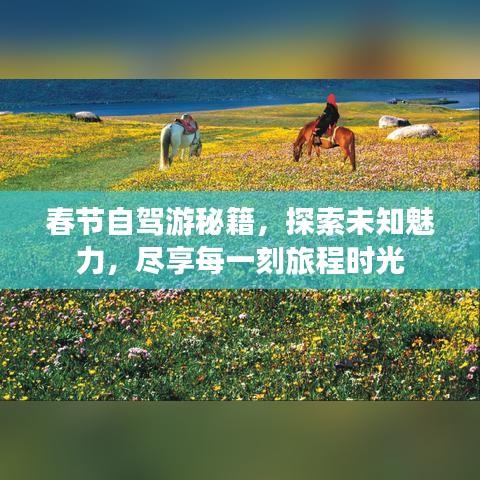 春节自驾游秘籍，探索未知魅力，尽享每一刻旅程时光