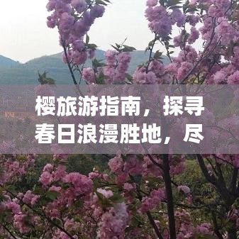 樱旅游指南，探寻春日浪漫胜地，尽享樱花盛宴