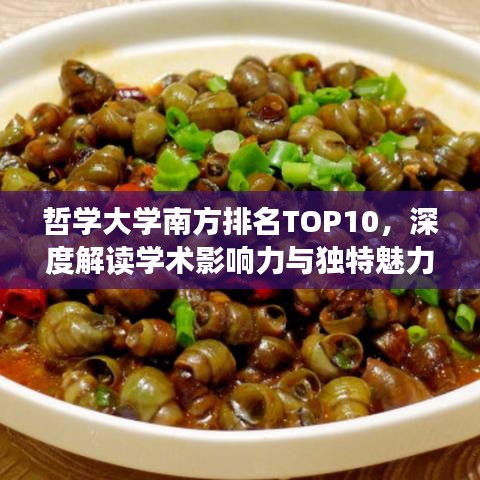 哲学大学南方排名TOP10，深度解读学术影响力与独特魅力