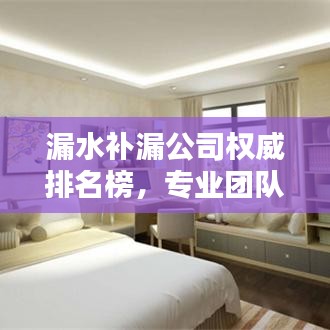 漏水补漏公司权威排名榜，专业团队打造，信赖之选！