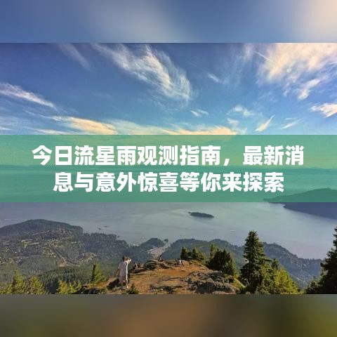 今日流星雨观测指南，最新消息与意外惊喜等你来探索