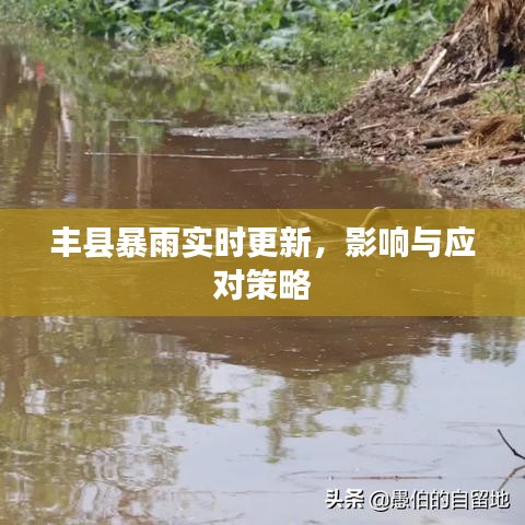 丰县暴雨实时更新，影响与应对策略