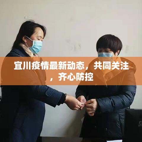 宜川疫情最新动态,共同关注,齐心防控