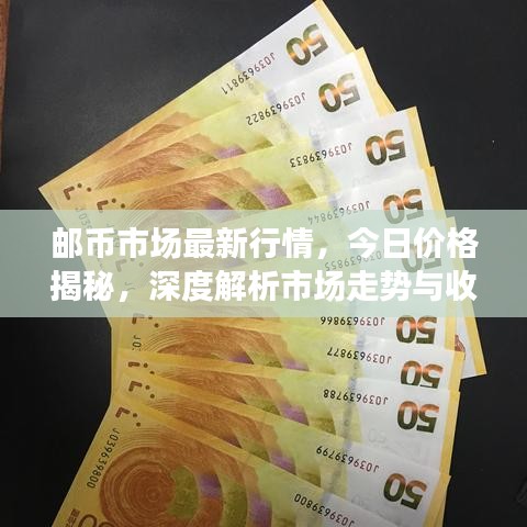 邮币市场最新行情，今日价格揭秘，深度解析市场走势与收藏价值