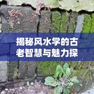 揭秘风水学的古老智慧与魅力探索