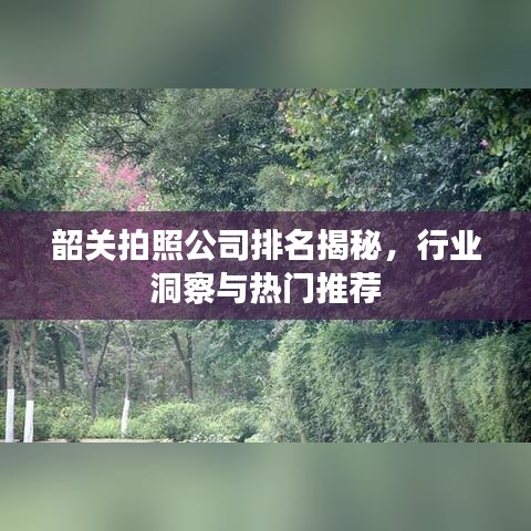 韶关拍照公司排名揭秘，行业洞察与热门推荐