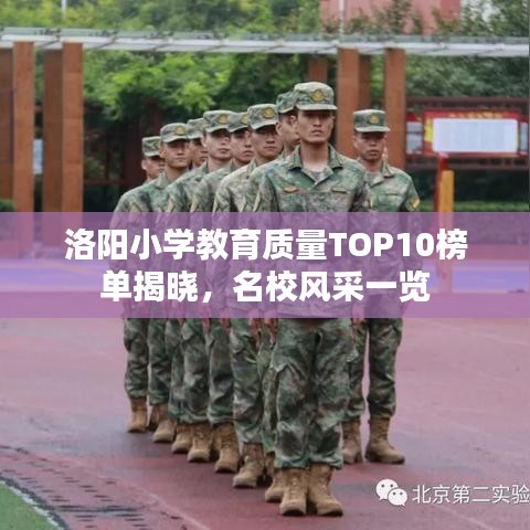 洛阳小学教育质量TOP10榜单揭晓，名校风采一览