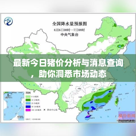 最新今日猪价分析与消息查询，助你洞悉市场动态
