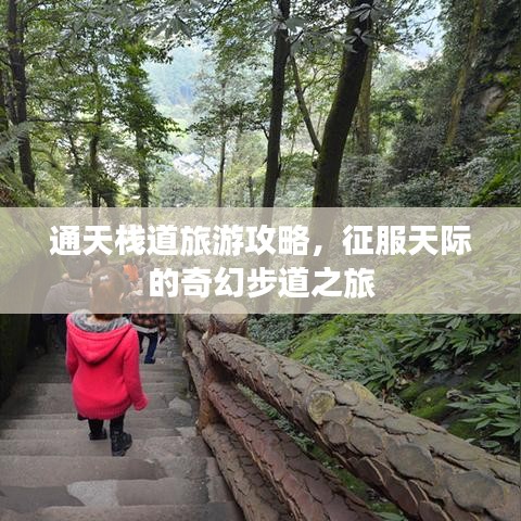 通天栈道旅游攻略，征服天际的奇幻步道之旅