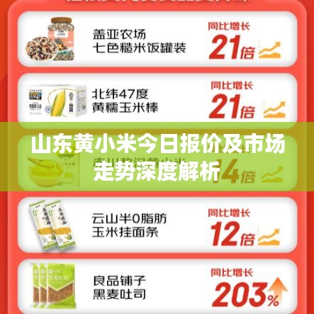 山东黄小米今日报价及市场走势深度解析