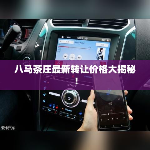 八马茶庄最新转让价格大揭秘！