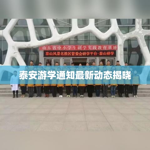 泰安游学通知最新动态揭晓