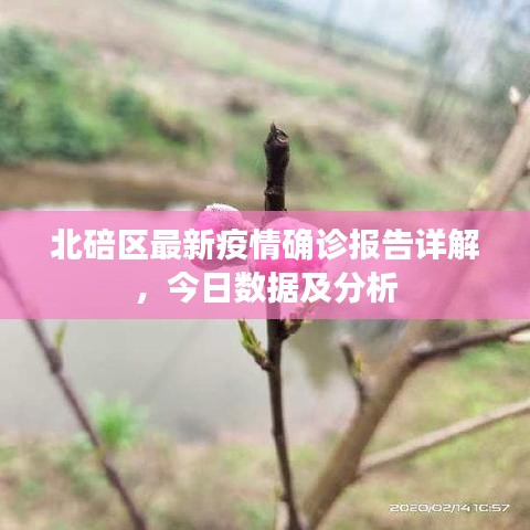 洁身自好 第6页