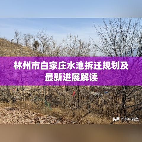 林州市白家庄水池拆迁规划及最新进展解读