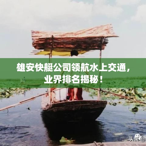 雄安快艇公司领航水上交通，业界排名揭秘！