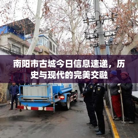 南阳市古城今日信息速递，历史与现代的完美交融