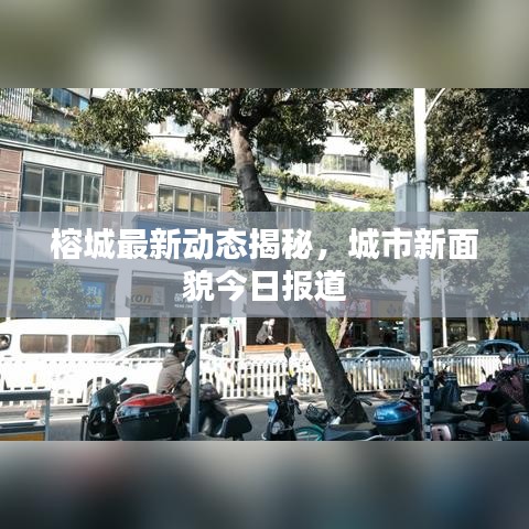 榕城最新动态揭秘，城市新面貌今日报道
