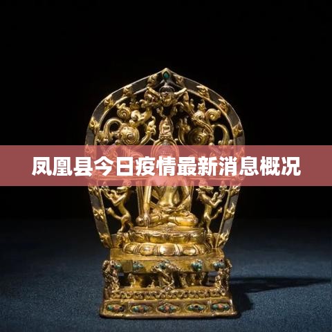 凤凰县今日疫情最新消息概况