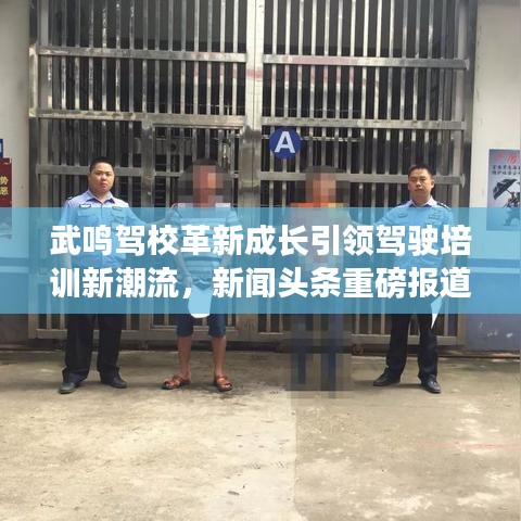 武鸣驾校革新成长引领驾驶培训新潮流,新闻头条重磅报道