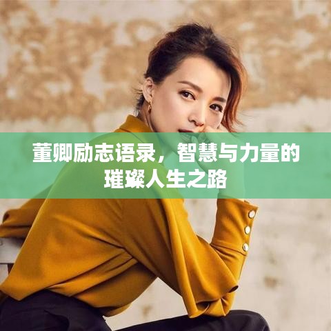 董卿励志语录，智慧与力量的璀璨人生之路