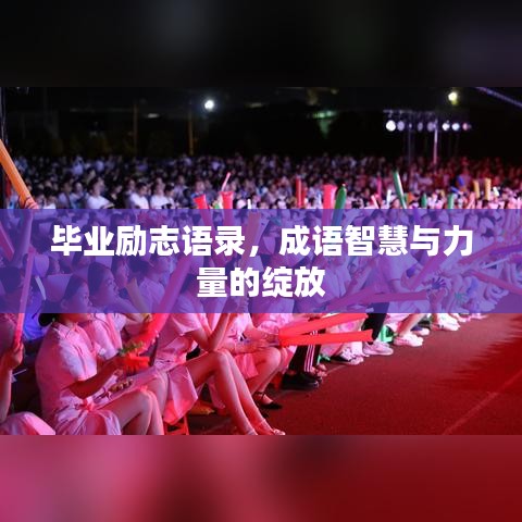 毕业励志语录，成语智慧与力量的绽放