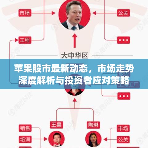 苹果股市最新动态，市场走势深度解析与投资者应对策略