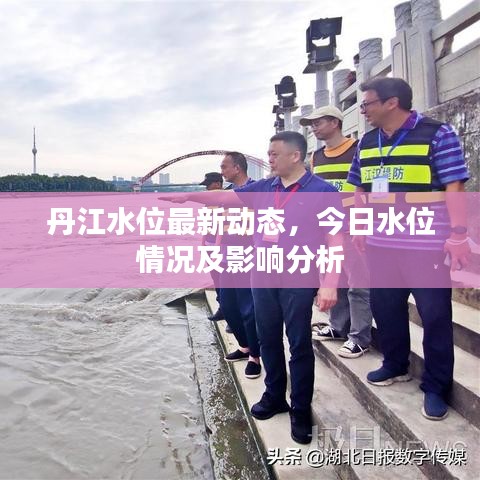 丹江水位最新动态,今日水位情况及影响分析