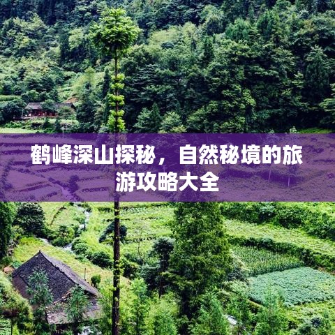 鹤峰深山探秘，自然秘境的旅游攻略大全