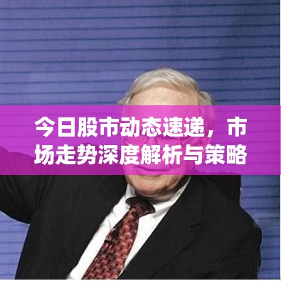 今日股市动态速递,市场走势深度解析与策略建议