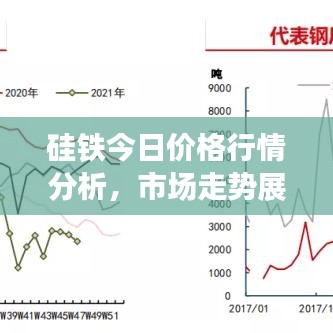 硅铁今日价格行情分析，市场走势展望与最新动态