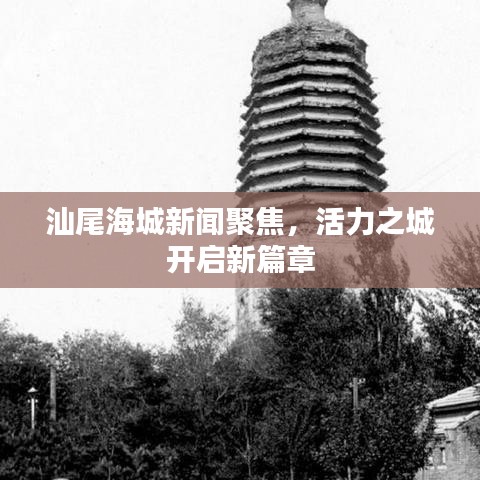 汕尾海城新闻聚焦,活力之城开启新篇章