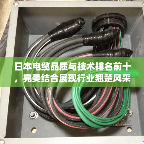 日本电缆品质与技术排名前十，完美结合展现行业翘楚风采
