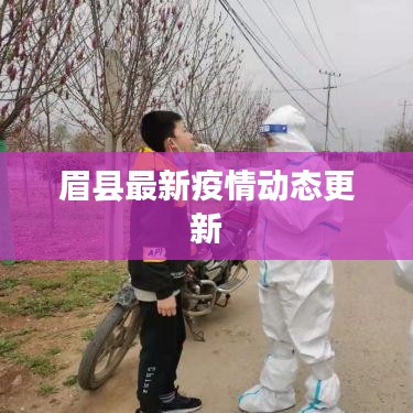 眉县最新疫情动态更新