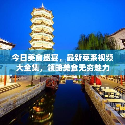 今日美食盛宴，最新菜系视频大全集，领略美食无穷魅力