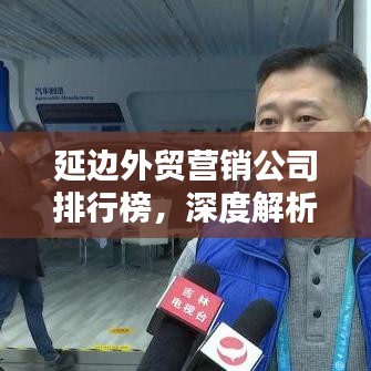 延边外贸营销公司排行榜,深度解析与综合评估报告