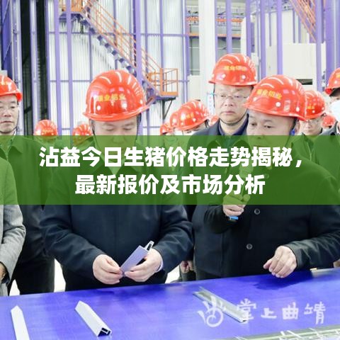 沾益今日生猪价格走势揭秘，最新报价及市场分析