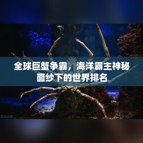 全球巨蟹争霸,海洋霸主神秘面纱下的世界排名