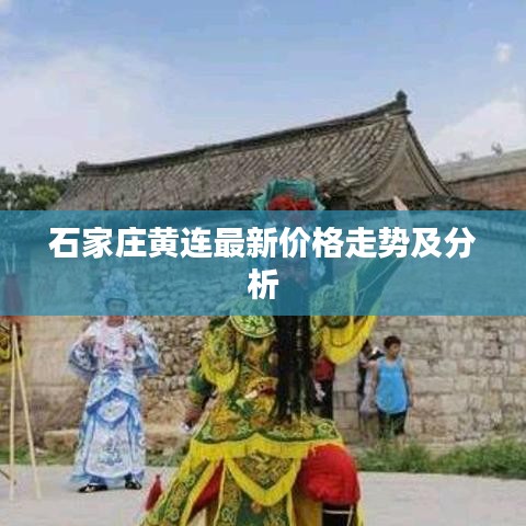 石家庄黄连最新价格走势及分析