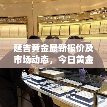 延吉黄金最新报价及市场动态，今日黄金市场趋势与投资者指南