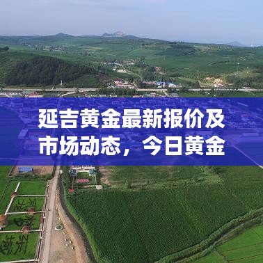 延吉黄金最新报价及市场动态,今日黄金市场趋势与投资者指南