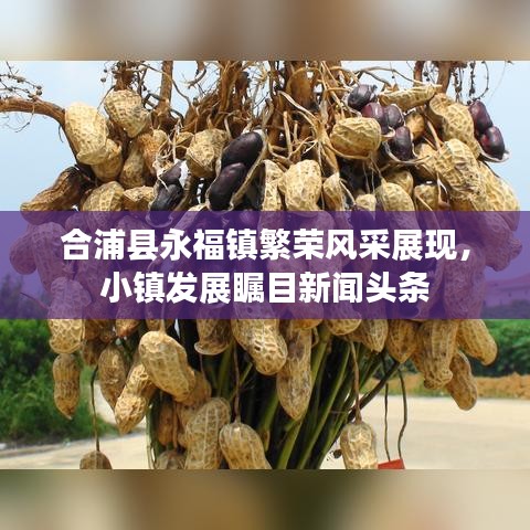 合浦县永福镇繁荣风采展现，小镇发展瞩目新闻头条