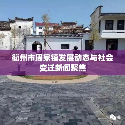 衢州市周家镇发展动态与社会变迁新闻聚焦