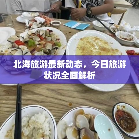 北海旅游最新动态，今日旅游状况全面解析