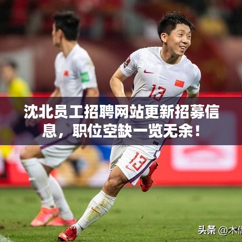 沈北员工招聘网站更新招募信息，职位空缺一览无余！