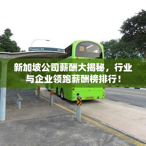 新加坡公司薪酬大揭秘，行业与企业领跑薪酬榜排行！