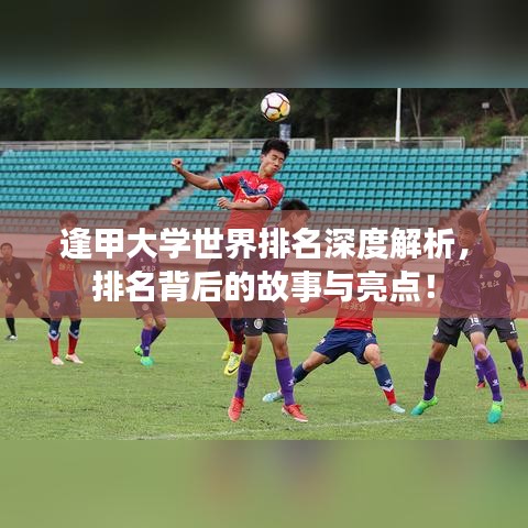 逢甲大学世界排名深度解析，排名背后的故事与亮点！